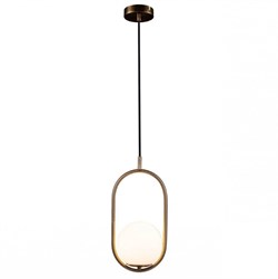 LOFT IT LOFT2595-A Подвесной светильник 1xE27 max 40W, шт LOFT2595-A - фото 100070