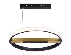 Ambrella Подвесной светодиодный светильник с пультом управления FL51489 BK/GD черный/золото 62W 3000K-6400K D600*1000 (ПДУ ИК) FL51489 - фото 100451