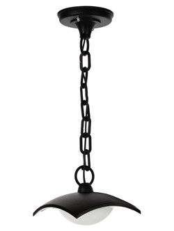 TDM Светильник садово-парковый LED "СИТИ" ДСУ 07-08-001 У1 8 Вт 230 В 6500 К подвесной черный SQ0330-1334 - фото 101159