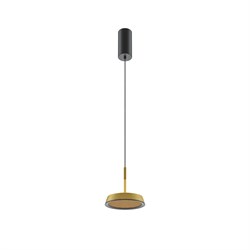 Maytoni Подвесной светильник MOD041PL-L15G3K MOD041PL-L15G3K - фото 101581