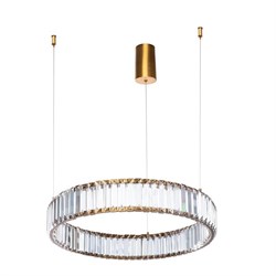 Divinare RENATA Светильник подвесной LED 1135/17 SP-25 - фото 101658