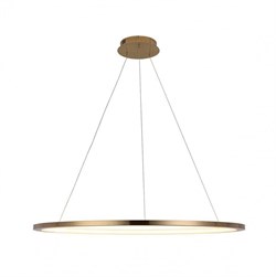 LOFT IT 10014XL Светильник подвесной Ring, шт 10014XL - фото 102936