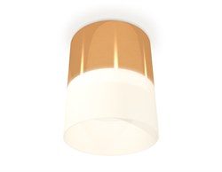 Ambrella Комплект накладного светильника с акрилом XS8121011 PYG/FR золото желтое полированное/белый матовый GX53 (C8121, N8402) XS8121011 - фото 104482