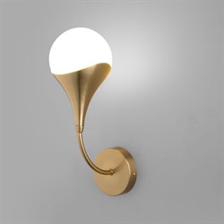 Eurosvet 60168/1 / настенный светильник / латунь a068271 - фото 104990