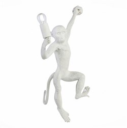 Evoluce SLE115111-01 светильник настенный Белый E27 1*60W SLE115111-01 - фото 107471