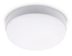 Ambrella Уличный светодиодный светильник ST8631 WH белый IP65 LED 4200K 20W D170*60 ST8631 - фото 109141