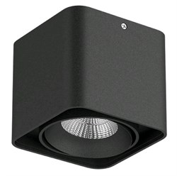 Lightstar Светильник точечный накладной декоративный под заменяемые галогенные или LED лампы Monocco Lightstar 212517 212517 - фото 110099