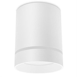 Ambrella Накладной светодиодный точечный светильник TN280 SWH белый песок LED 4200K 9W D80*100 TN280 - фото 110183