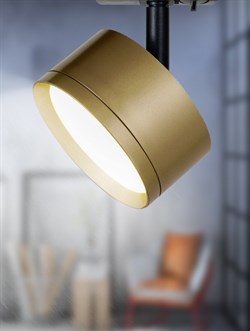 ЭРА Трековый светильник TR48 - GX53 MG однофазный под лампу GX53 матовое золото Б0054160 - фото 112574