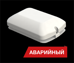 Diora Светодиодный светильник Луна Eco 12/1500 Авто SM 1500лм 12Вт 5000K IP50 80Ra Кп - фото 119466