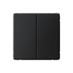 ArtGallery Карбон Выключатель 2-клавишный кнопочный, сх.2, 10А, механизм GAL001017 - фото 69301