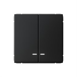 ArtGallery Карбон Выключатель 2-клавишный с подсветкой, сх.5а, 10АХ, механизм GAL001053 - фото 69308