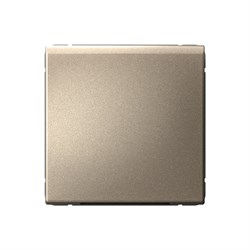 ArtGallery Шампань Вывод кабеля, механизм GAL000599 - фото 69470