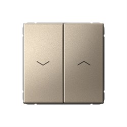 Systeme Electric ArtGallery Шампань Выключатель 2-клавишный для жалюзи, 2х сх.4, 10А, механизм, быстрозажим. клем. GAL000519S - фото 69480