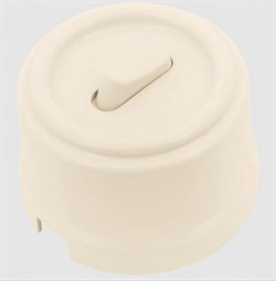 BIRONI Лизетта Пластик Песочное золото Выключатель 1-кл (клавишный) B1-220-24 - фото 69929