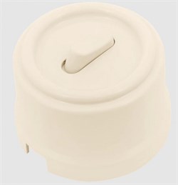 BIRONI Лизетта Пластик Песочное золото Выключатель кнопочный 1-кл (клавишный) B1-220-24-PB - фото 69934