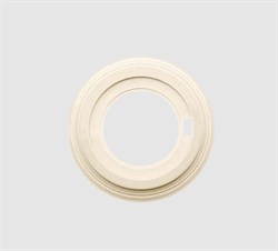 BIRONI Лизетта Пластик Песочное золото Рамка 1-ая BF1-610-24 - фото 69938