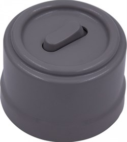 Bironi Лизетта пластик титан выключатель проходной 1-клавишный (клавишный) B1-221-26 - фото 70146