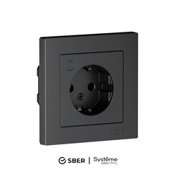 Systeme Electric AtlasDesign Smart Карбон Розетка с заземл., со шт., Zigbee, L+N, 16А, мех. ATN001045Z - фото 71526