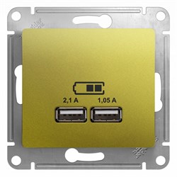 Glossa фисташковый розетка USB 5В/2,1А, 2х5В/1,05А GSL001033 - фото 72152