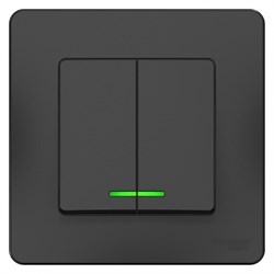 Blanca внутренняя антрацит выключатель 2-клавишный с подсветкой, 10А, 250B BLNVS010516 - фото 72323