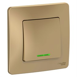 Blanca внутренняя титан выключатель 1-клавишный с подсветкой, 10А, 250B BLNVS010114 - фото 72375