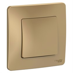 Blanca внутренняя титан выключатель 1-клавишный, 10А, 250B BLNVS010104 - фото 72376