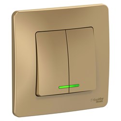 Blanca внутренняя титан выключатель 2-клавишный с подсветкой, 10А, 250B BLNVS010514 - фото 72377