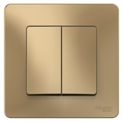 Blanca внутренняя титан выключатель 2-клавишный, 10А, 250B BLNVS010504 - фото 72378