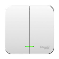 Blanca наружняя белый выключатель 2-клавишный с подсветкой 6А, 250B, изолированная пластина BLNVA065111 - фото 72541