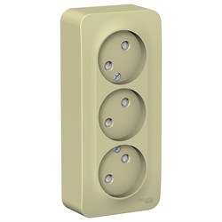 Blanca наружняя бежевый розетка 3-ая без заземления со шторками, изолированная пластина 16А, 250В BLNRA001317 - фото 72660
