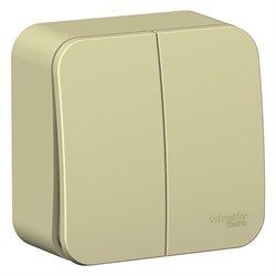 Blanca наружняя бежевый выключатель 2-клавишный (cх.5) изолированная пластина 10А, 250B BLNVA105017 - фото 72671