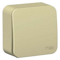 Blanca наружняя бежевый выключатель 1-клавишный (cх.1) с самовозвратом, изолированная пластина 10А BLNCA101017 - фото 72680