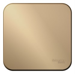 Blanca наружняя титан переключатель 1-клавишный 10А, 250В, изолированная пластина BLNVA106014 - фото 72687