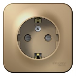 Blanca наружняя титан розетка с заземлением, со шторками 16А, 250В, изолированная пластина BLNRA011114 - фото 72708