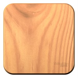 Blanca наружняя ясень выключатель 1-клавишный с самовозвратом, 10А, 250В, изолированная пластина BLNCA101015 - фото 72720