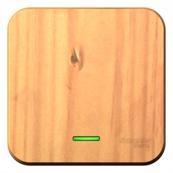 Blanca наружняя ясень выключатель 1-клавишный с подсветкой 10А,250B, изолированная пластина BLNVA101115 - фото 72756