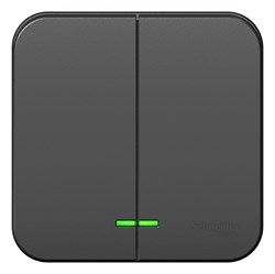 Blanca наружняя антрацит выключатель 2-клавишный с подсветкой 10А,250B, изолированная пластина BLNVA105116 - фото 72785