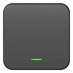 Blanca наружняя антрацит переключатель 1-клавишный с подсветкой 10А, 250B, изолированная пластина BLNVA106116 - фото 72793