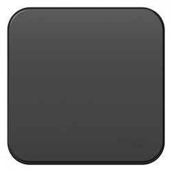 Blanca наружняя антрацит выключатель 1-клавишный с самовозвратом, 10А, 250В, изолированная пластина BLNCA101016 - фото 72794