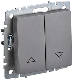 IEK Brite Base сталь выключатель жалюзи 10А BR-V15-0-10-K46 - фото 73632