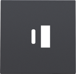 Niko Накладка USB Type-A-C, антрацит 122-68002 - фото 75347