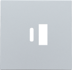 Niko Накладка USB Type-A-C, серебро 121-68002 - фото 75874