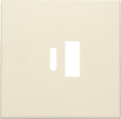 Niko Накладка USB Type-A-C, слоновая кость 100-68002 - фото 75878