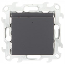 Simon 24 Графит Карточный выключатель 2410526-038 - фото 76002