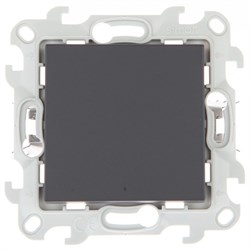 Simon 24 Графит Одноклавишный переключатель с подсветкой Push&Go 2420204-038 - фото 76011