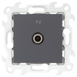 Simon 24 Графит Розетка TV оконечная 2450476-038 - фото 76028