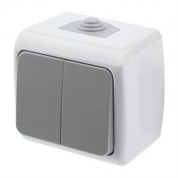 ЭРА Intro Выключатель Atlantic 5-104-03 двойной, 10А-250В, IP54, открытой установки, серый Б0050943 - фото 76190