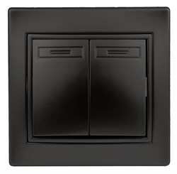 Intro Переключатель Plano 1-107-05 двухклавишный, 10А-250В, IP20, СУ, антрацит Б0053810 - фото 76214