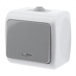 ЭРА Intro Выключатель Atlantic 5-102-03 с подсветкой, 10А-250В, IP54, открытой установки, серый Б0050941 - фото 76218